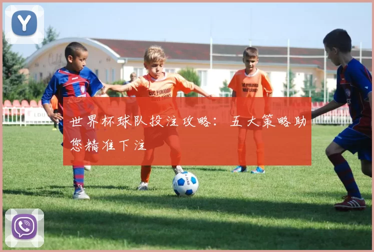 世界杯球队投注攻略：五大策略助您精准下注