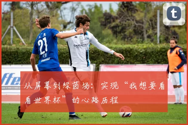 从屏幕到绿茵场:实现“我想要看看世界杯”的心路历程