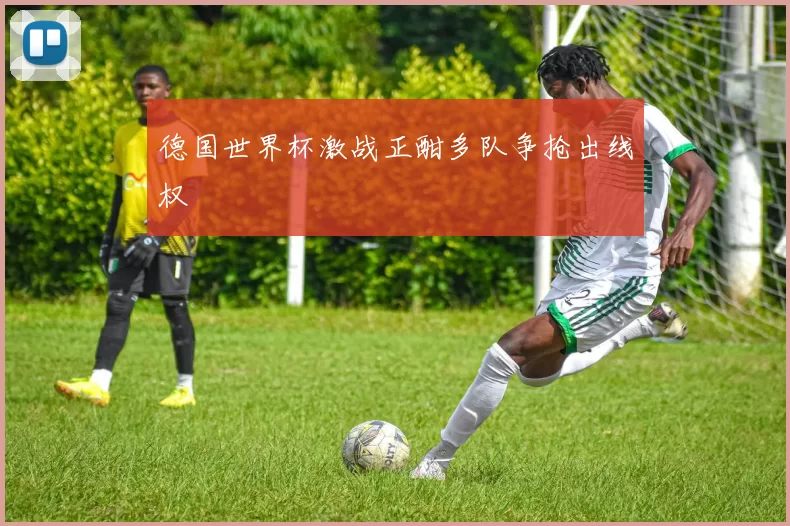 德国世界杯激战正酣多队争抢出线权