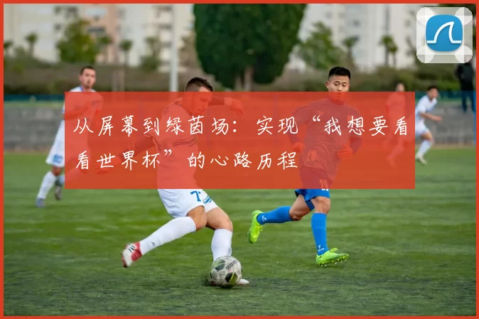 从屏幕到绿茵场:实现“我想要看看世界杯”的心路历程