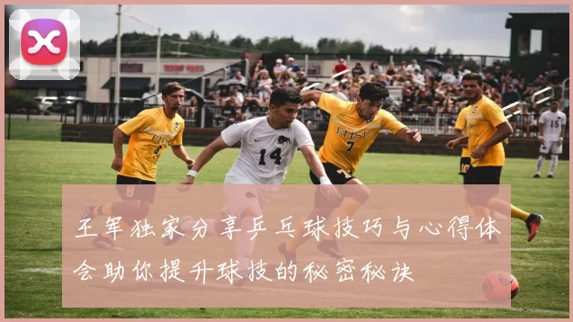 王军独家分享乒乓球技巧与心得体会助你提升球技的秘密秘诀