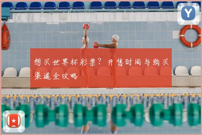 想买世界杯彩票？开售时间与购买渠道全攻略