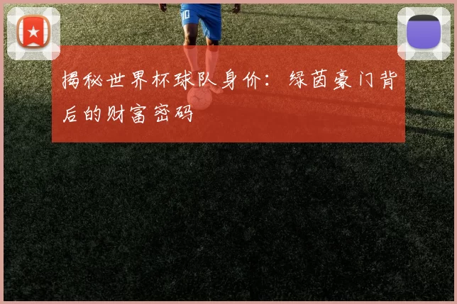 揭秘世界杯球队身价：绿茵豪门背后的财富密码