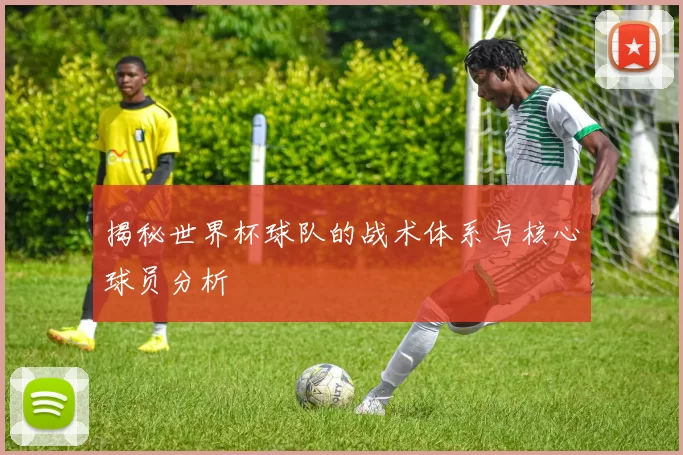 揭秘世界杯球队的战术体系与核心球员分析