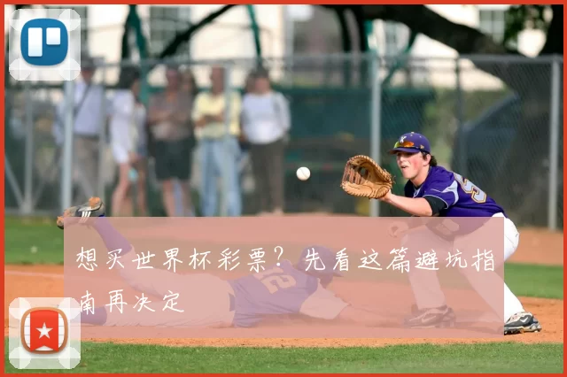 想买世界杯彩票？先看这篇避坑指南再决定