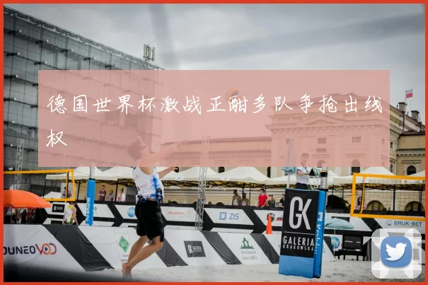 德国世界杯激战正酣多队争抢出线权