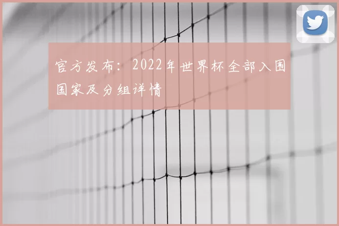 官方发布:2022年世界杯全部入围国家及分组详情
