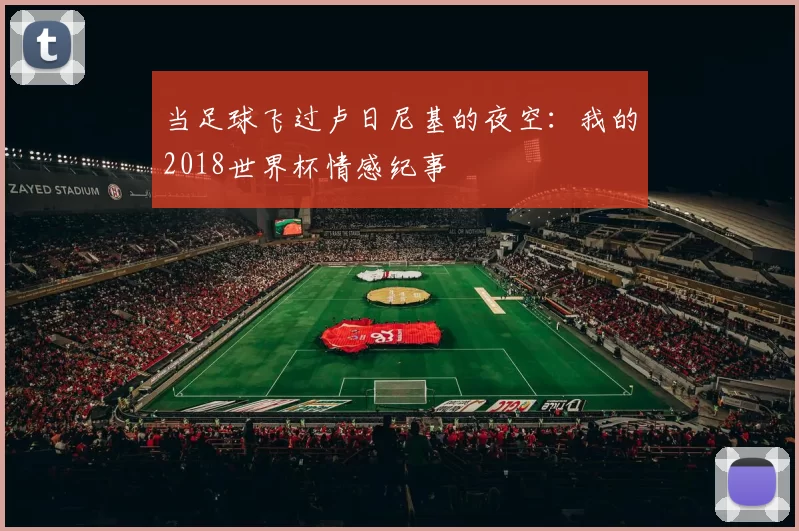 当足球飞过卢日尼基的夜空：我的2018世界杯情感纪事