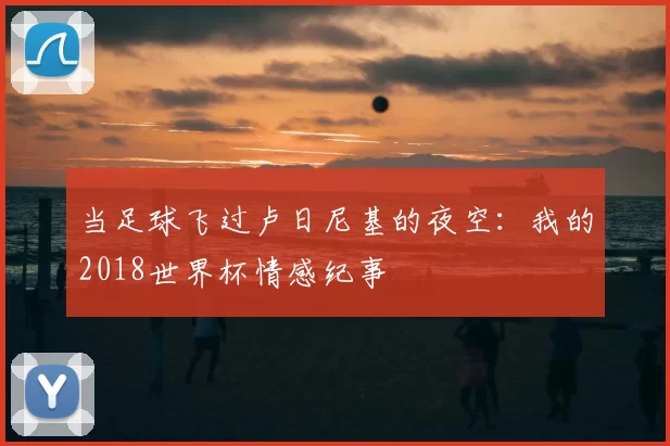 当足球飞过卢日尼基的夜空：我的2018世界杯情感纪事